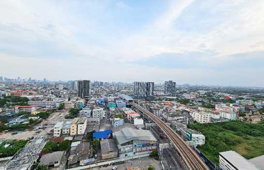 ขายคอนโด The Tree Charan 30 : เดอะ ทรี จรัญฯ 30 - Sell Condo   - 2954968