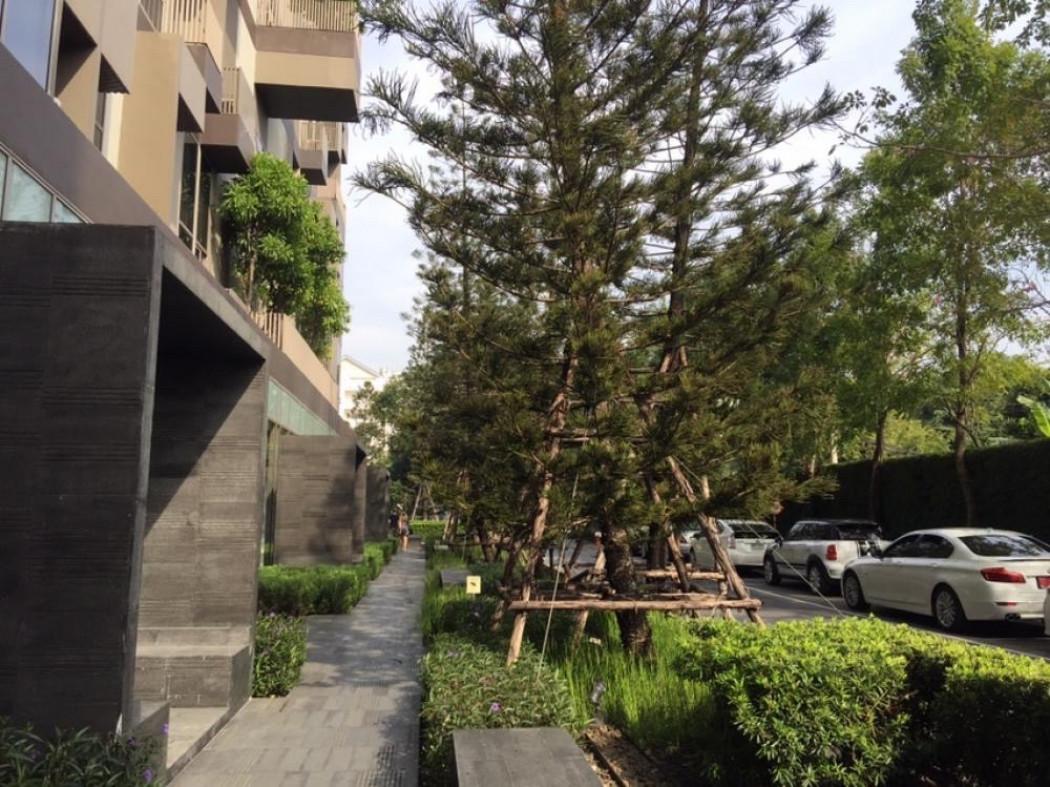 เช่าคอนโด ไอดีโอ มอร์ฟ 38 คอนโดมิเนียม - Condo Rental Ideo Morph 38 condominium - 2977241