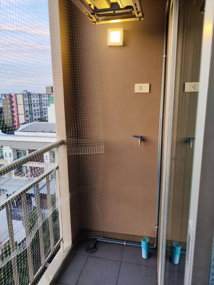เช่าคอนโด ลุมพินี วิลล์ สุขุมวิท76-แริ่ง สเตชั่น2 - Condo Rental   - 2982617