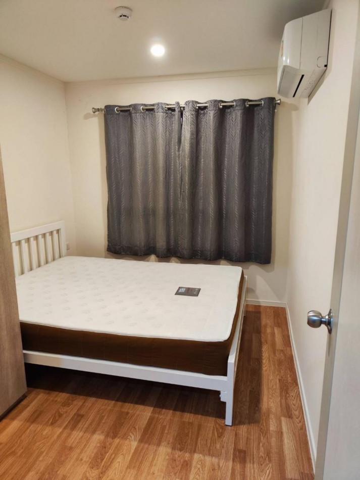 เช่าคอนโด ลุมพินี วิลล์ สุขุมวิท76-แริ่ง สเตชั่น2 - Condo Rental   - 2982614