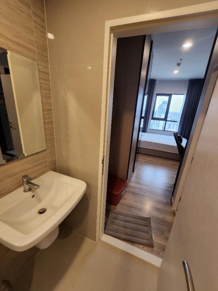 เช่าคอนโด นิช โมโน สุขุมวิท แบริ่ง คอนโดมิเนียม - Condo Rental Niche Mono Sukhumvit-Bearing condominium - 2991644
