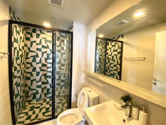 เช่าคอนโด เดอะ เบส สุขุมวิท 50 คอนโดมิเนียม - Condo Rental THE BASE Sukhumvit 50 codominium - 3009919