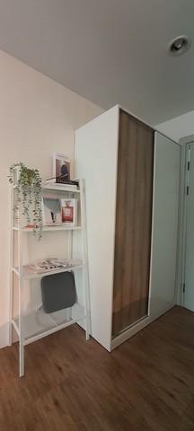 เช่าคอนโด รีเจ้นท์ โฮม 14 สุขุมวิท93 คอนโดมิเนียม - Condo Rental Regent Home14 Sukhumvit93 condominium - 3014313