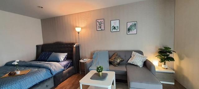 เช่าคอนโด รีเจ้นท์ โฮม 14 สุขุมวิท93 คอนโดมิเนียม - Condo Rental Regent Home14 Sukhumvit93 condominium - 3014314