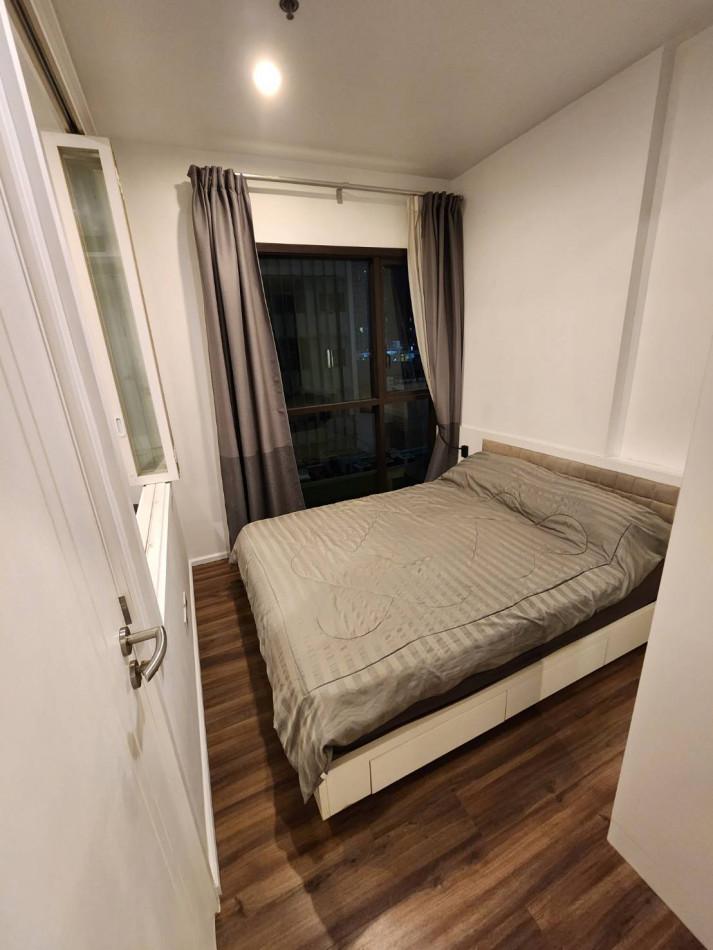 เช่าคอนโด WYNE by Sansiri (วายน์ บาย แสนสิริ) - Condo Rental   - 3020393