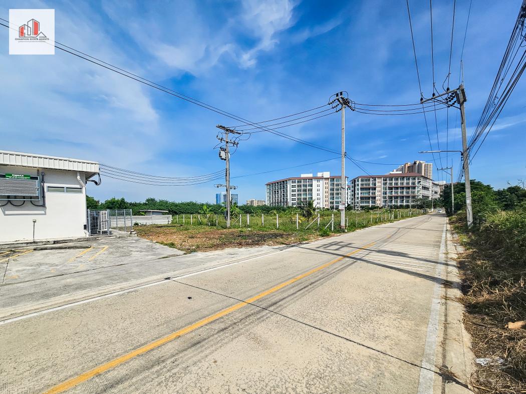 ขายคอนโด เอดี รีสอร์ท ชะอำ-หัวหิน A.D. RESORT - Sell Condo   - 3023492