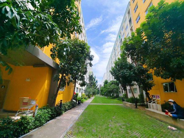 เช่าคอนโด (ให้เช่า) Lumpini Condo Town Chonburi-Sukhumvit ลุมพินี คอนโดทาวน์ ชลบุรี เพียง 3900.- เครื่องใช้ไฟฟ้า-เฟอร์ครบ สุขุมวิท, ชลบุรี โทร 096-931-4352 - Condo Rental   - 3026849
