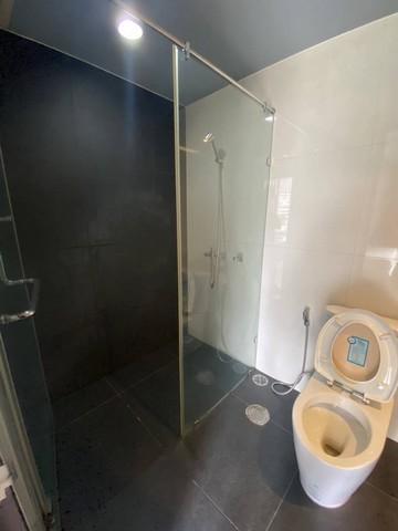 เช่าคอนโด เดอะ เท็มโป ร่วมฤดี คอนโดมิเนียม - Condo Rental The Tempo Ruamrudee condominium - 3038601