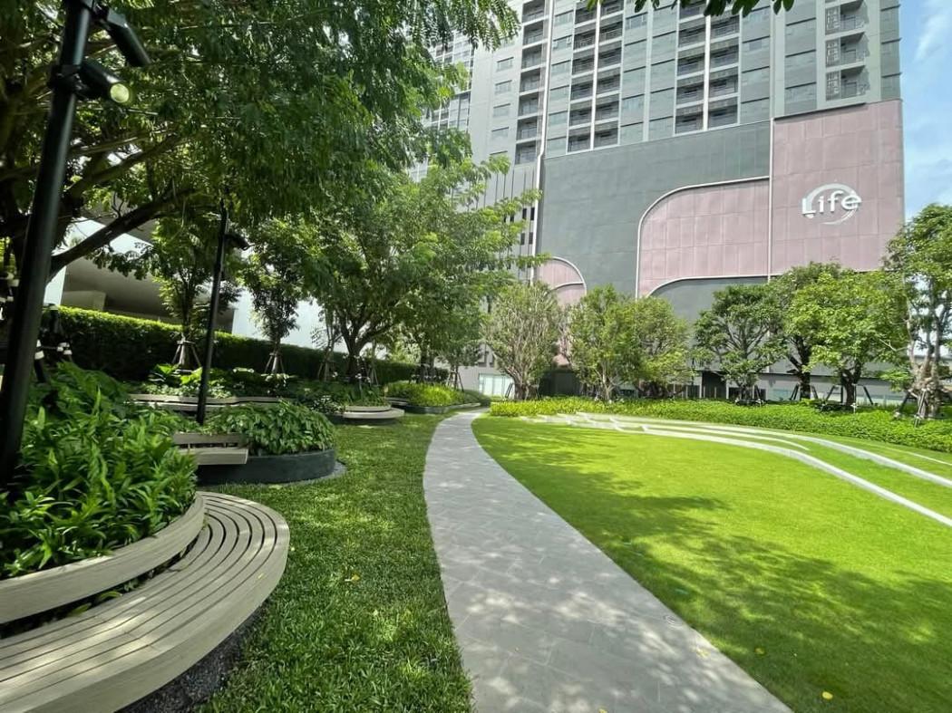 เช่าคอนโด ไลฟ์ อโศก - พระราม 4 - Condo Rental   - 3047375
