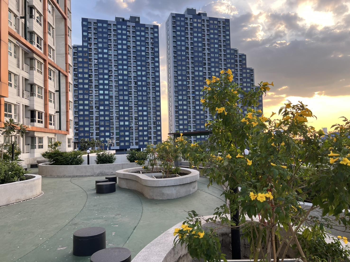 ขายคอนโด ไอวี่ ริเวอร์ คอนโดมิเนียม - Sell Condo Ivy River condominium - 3068666