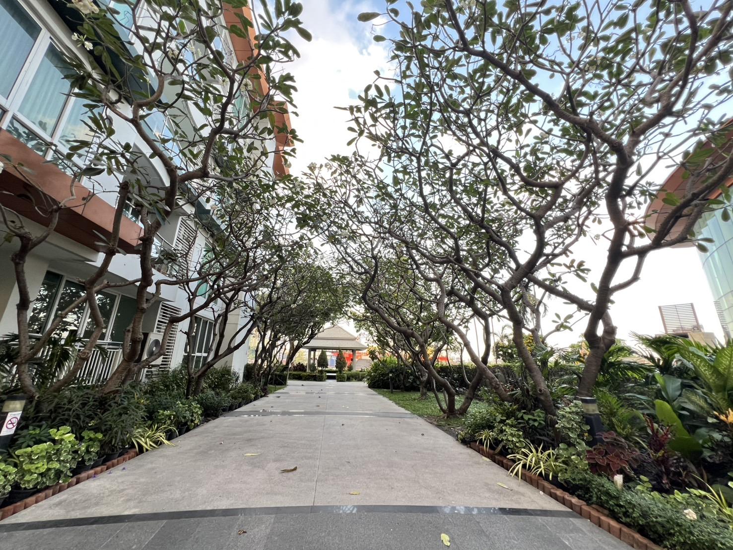 ขายคอนโด ไอวี่ ริเวอร์ คอนโดมิเนียม - Sell Condo Ivy River condominium - 3068681