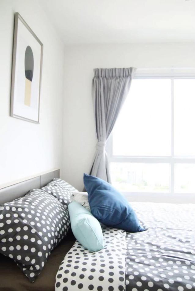 เช่าคอนโด LUMPINI PLACE ศรีนครินทร์ - หัวหมาก (ลุมพินี เพลส ศรีนครินทร์-หัวหมาก) - Condo Rental   - 3075618