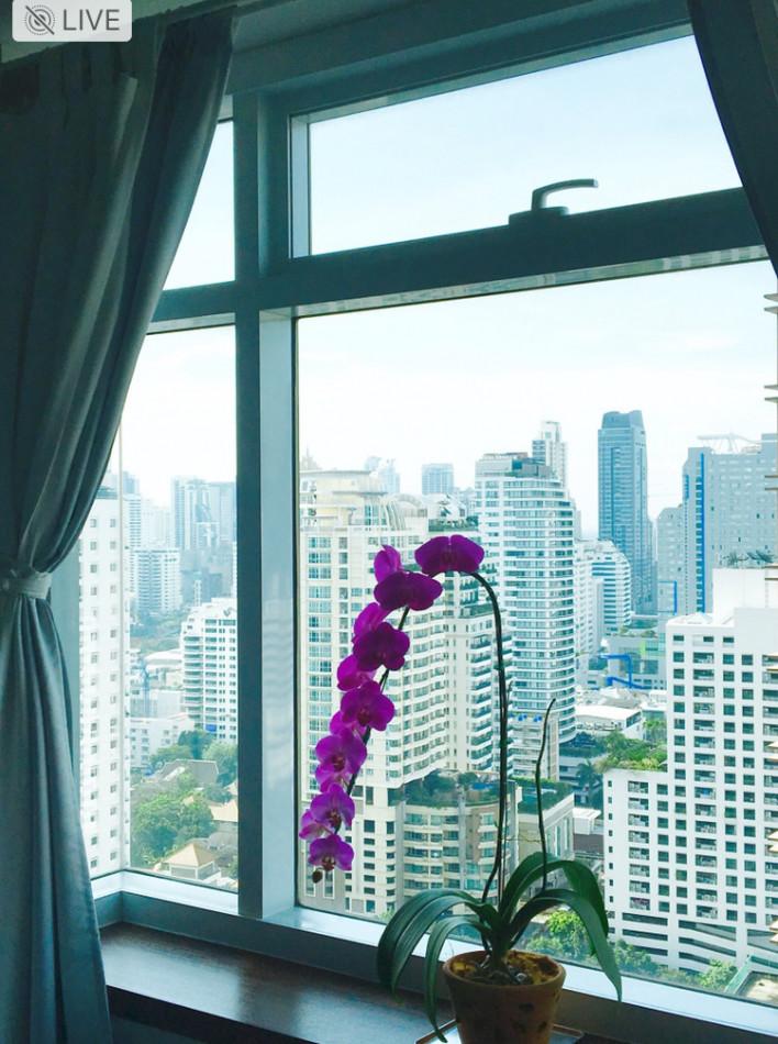 เช่าคอนโด เซอร์เคิล คอนโดมิเนียม - Condo Rental Circle condominium - 3077736
