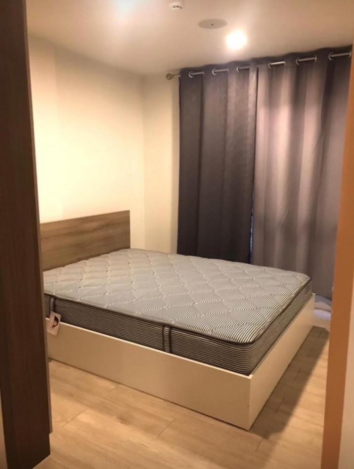 เช่าคอนโด เคฟ คอนโด รังสิต คอนโดมิเนียม - Condo Rental Kave Condo Rangsit condominium - 3094892