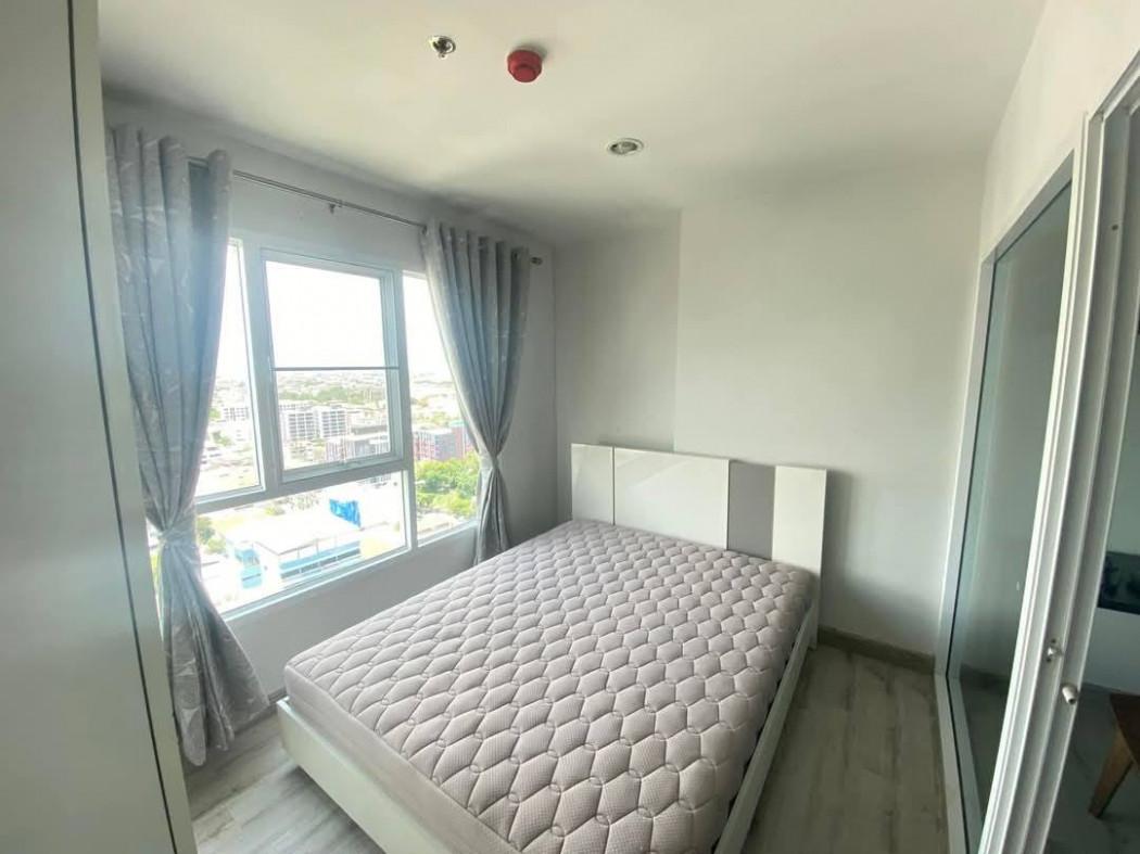 เช่าคอนโด รีเจ้นท์ ออคิด สุขุมวิท101 คอนโดมิเนียม - Condo Rental Regent Orchid Sukhumvit101 condominium - 3100473