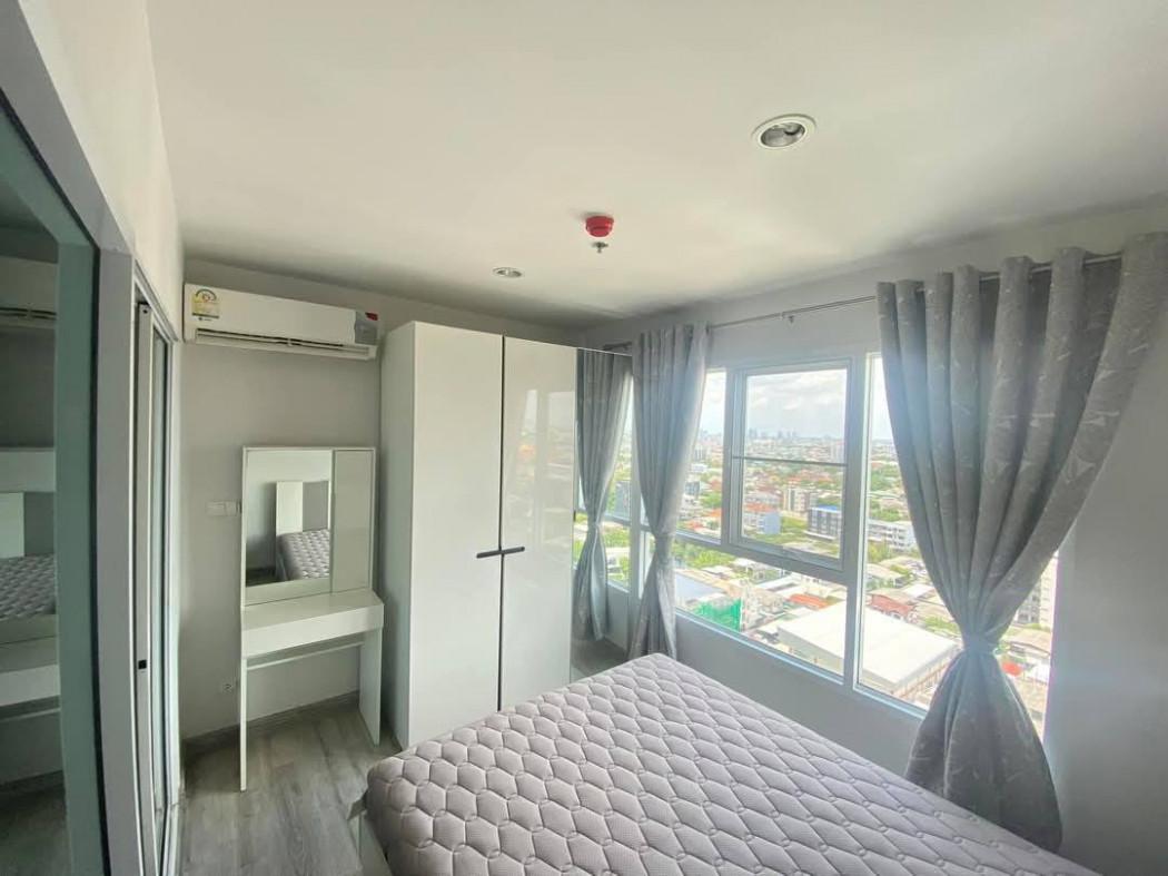 เช่าคอนโด รีเจ้นท์ ออคิด สุขุมวิท101 คอนโดมิเนียม - Condo Rental Regent Orchid Sukhumvit101 condominium - 3100474