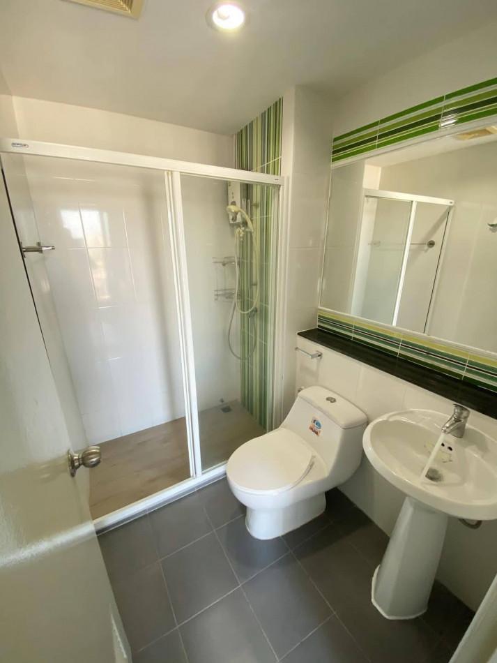 เช่าคอนโด รีเจ้นท์ ออคิด สุขุมวิท101 คอนโดมิเนียม - Condo Rental Regent Orchid Sukhumvit101 condominium - 3100478
