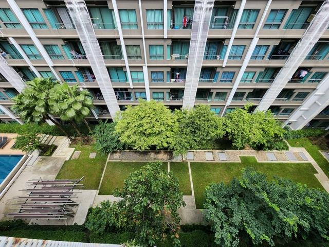 เช่าคอนโด อีส พระราม2 คอนโดมิเนียม - Condo Rental Ease Rama2 condominium - 3113336