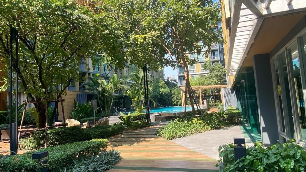 เช่าคอนโด Metro Luxe Ekkamai-Rama 4 - Condo Rental   - 3114222