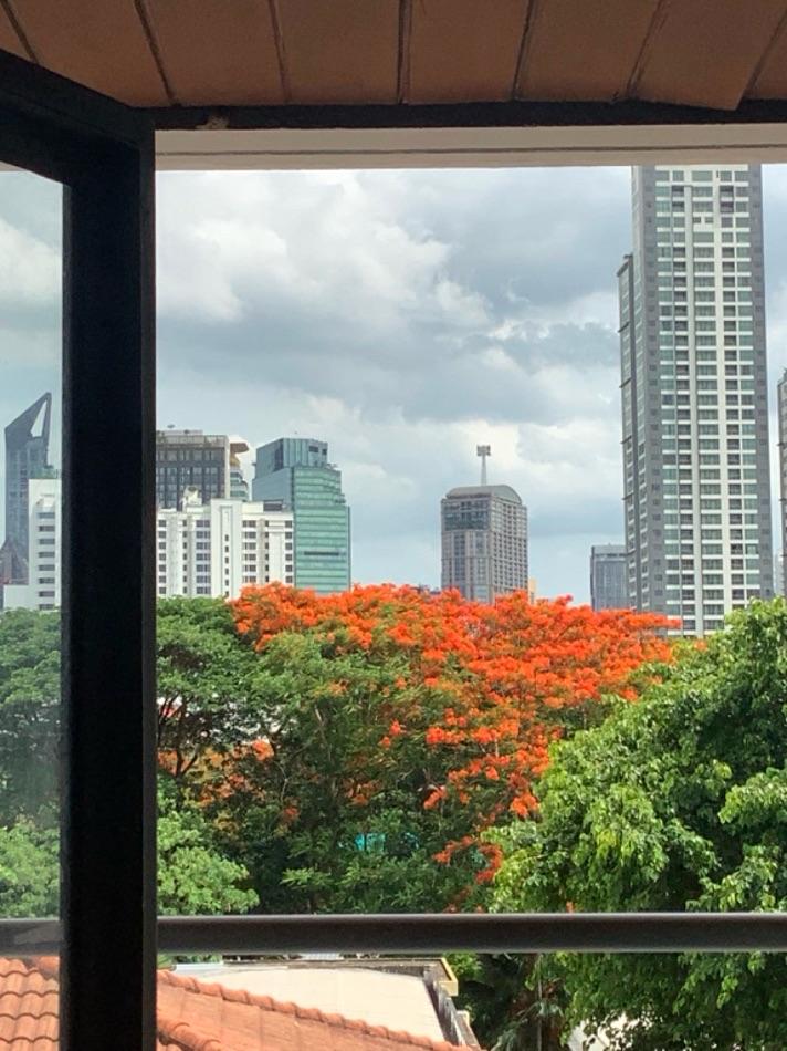 เช่าคอนโด รินเฮ้าส์ คอนโดมิเนียม - Condo Rental Rin House condominium - 3115267