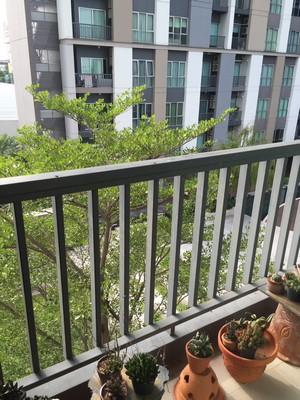 ขายคอนโด เดอะ คีย์ แจ้งวัฒนะ คอนโดมิเนียม - Sell Condo The Key Chaengwattana condominium - 3115925