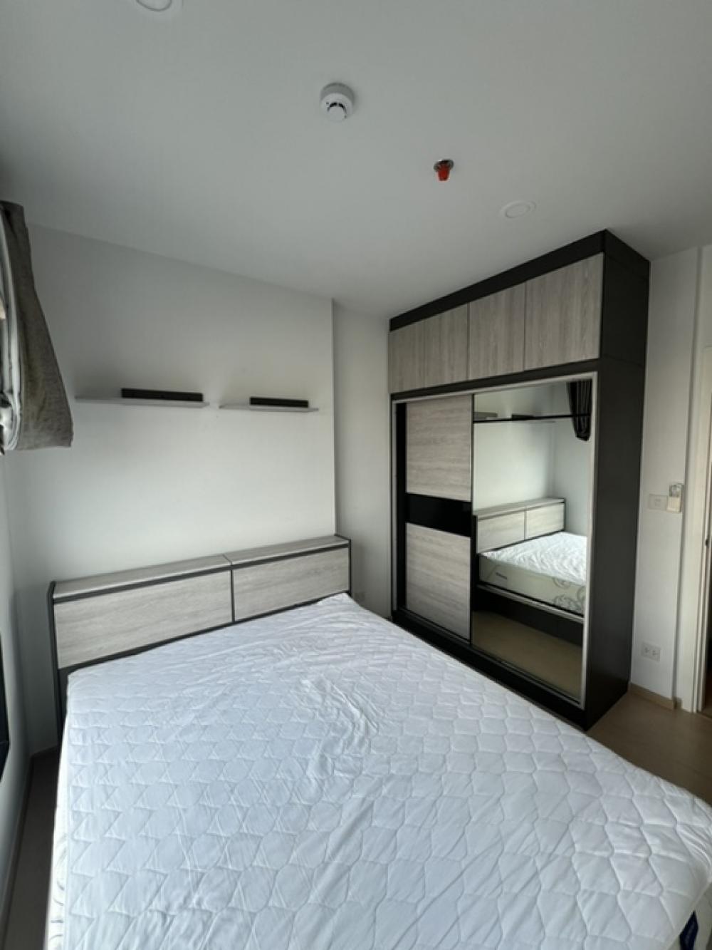 เช่าคอนโด เดอะ ทรี สุขุมวิท 71 - เอกมัย คอนโดมิเนียม - Condo Rental The Tree Sukhumvit 71 - Ekamai condominium - 3118249