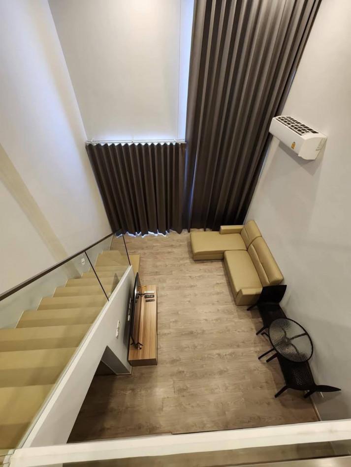 เช่าคอนโด The Tree Pattanakarn-Ekkamai : เดอะ ทรี พัฒนาการ-เอกมัย - Condo Rental   - 3123075