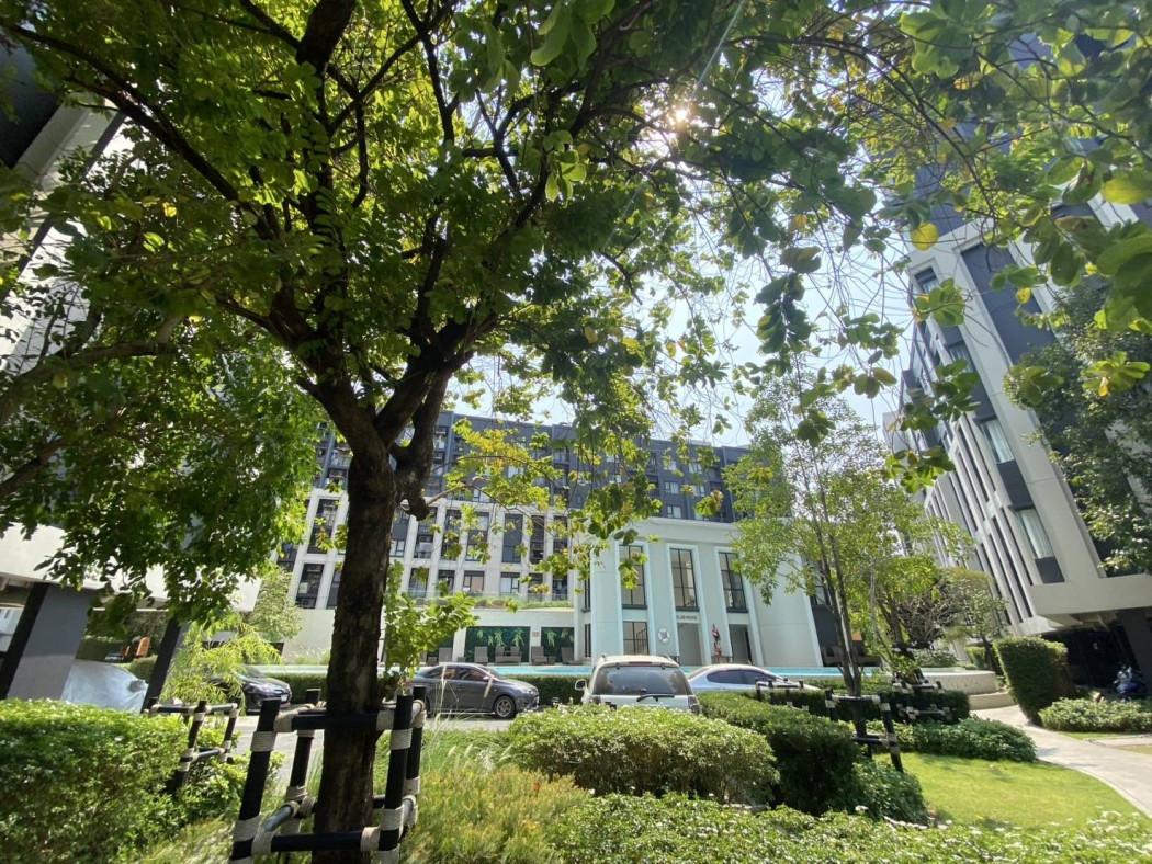 เช่าคอนโด Aspire Sukhumvit–Onnut : แอสปาย สุขุมวิท-อ่อนนุช - Condo Rental   - 3126860