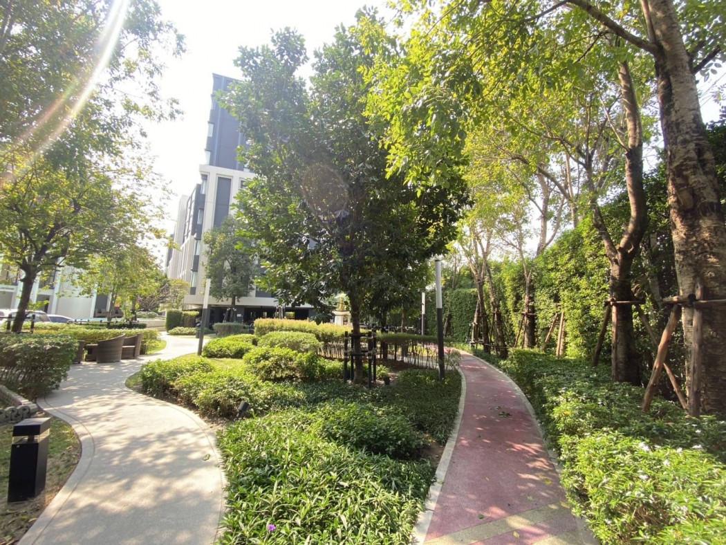 เช่าคอนโด Aspire Sukhumvit–Onnut : แอสปาย สุขุมวิท-อ่อนนุช - Condo Rental   - 3126859