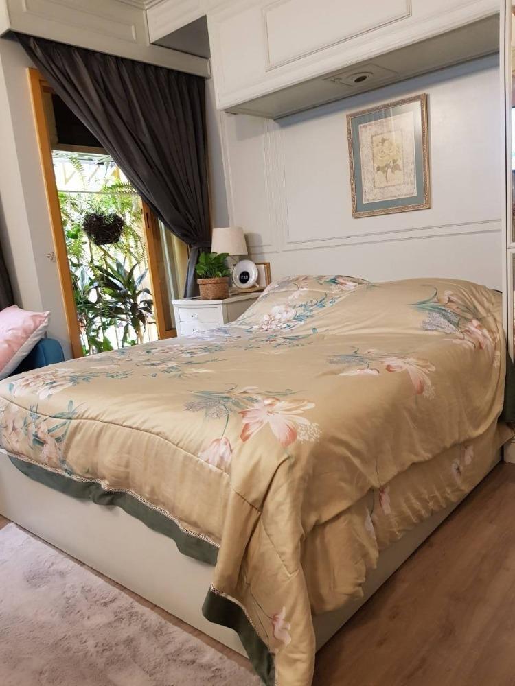 เช่าคอนโด เดอะ เบส สุขุมวิท 50 คอนโดมิเนียม - Condo Rental THE BASE Sukhumvit 50 codominium - 3131561