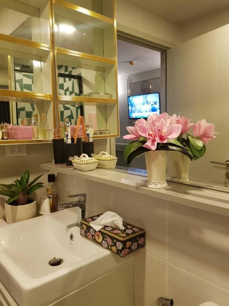 เช่าคอนโด เดอะ เบส สุขุมวิท 50 คอนโดมิเนียม - Condo Rental THE BASE Sukhumvit 50 codominium - 3131566