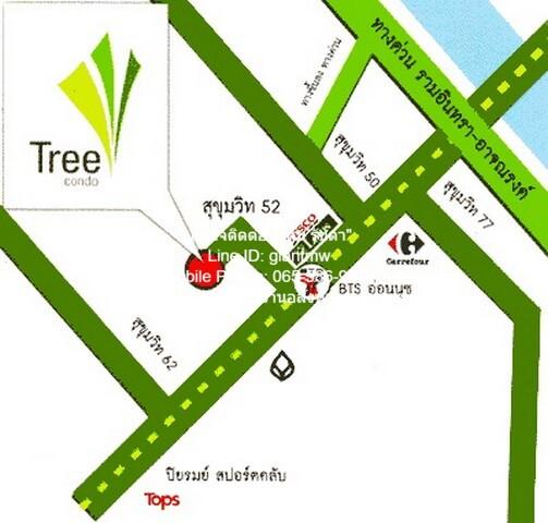 เช่าคอนโด ทรี คอนโด ลักซ์ สุขุมวิท52 คอนโดมิเนียม - Condo Rental Tree Condo LUXE Sukhumvit52 condominium - 3134041