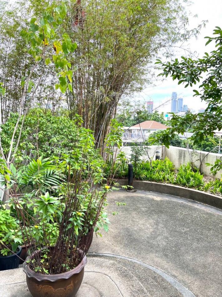 ขายคอนโด ศุภาลัย เพลส สุขุมวิท 39 - Sell Condo   - 3135153