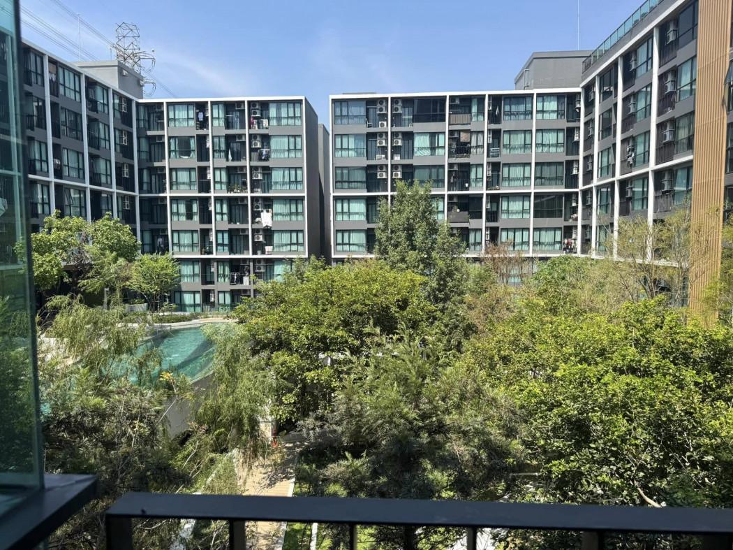 เช่าคอนโด Atmoz Chaengwattana : แอทโมซ แจ้งวัฒนะ - Condo Rental   - 3136024