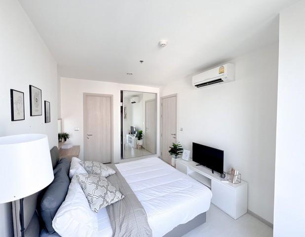 เช่าคอนโด ริทึ่ม สุขุมวิท42 คอนโดมิเนียม - Condo Rental Rhythm Sukhumvit42 condominium - 3136086