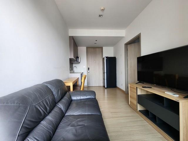 เช่าคอนโด วิสซ์ดอม คอนเนค สุขุมวิท คอนโดมิเนียม - Condo Rental Whizdom Connect Sukhumvit condominium - 3138644