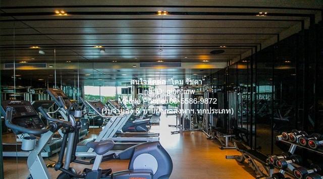 เช่าคอนโด ควอทโทร บาย แสนสิริ คอนโดมิเนียม - Condo Rental Quattro by Sansiri condominium - 3146750