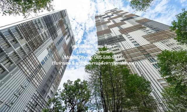 เช่าคอนโด พาร์ค ออริจิ้น ทองหล่อ คอนโดมิเนียม - Condo Rental PARK ORIGIN THONGLOR condominium - 3151517