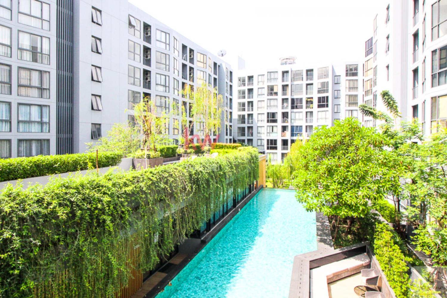 เช่าคอนโด เดอะ เนสท์ สุขุมวิท 71 คอนโดมิเนียม - Condo Rental The Nest Sukhumvit 71 condominium - 3157542