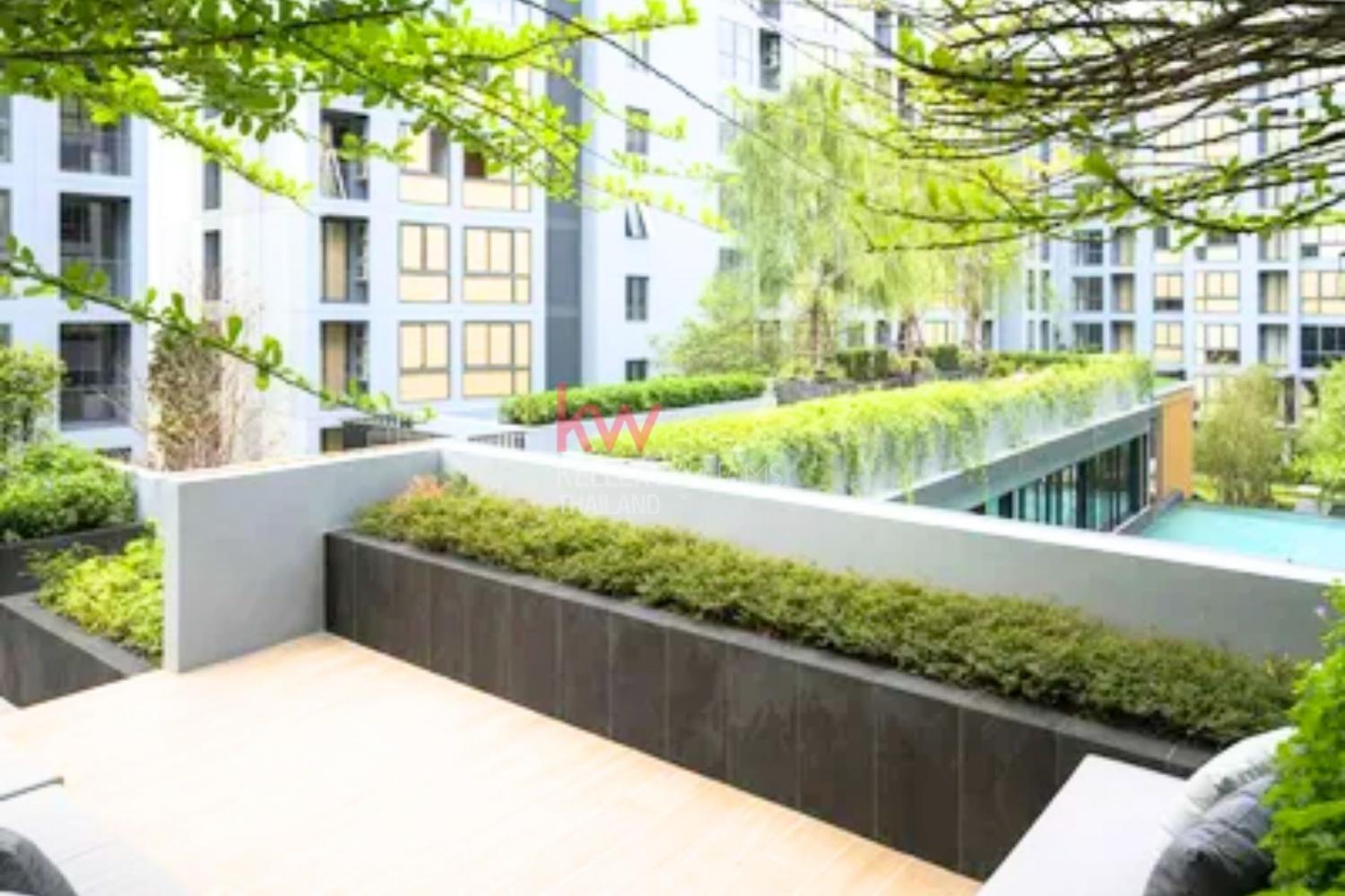 เช่าคอนโด เดอะ เนสท์ สุขุมวิท 71 คอนโดมิเนียม - Condo Rental The Nest Sukhumvit 71 condominium - 3157544