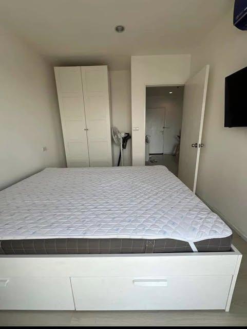 เช่าคอนโด แอสไพร์ สุขุมวิท48 คอนโดมิเนียม - Condo Rental Aspire Sukhumvit48 condominium - 3163316
