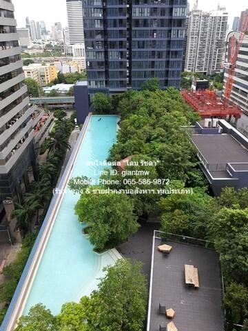 เช่าคอนโด วันไนน์ไฟว์ อโศก-พระราม 9 คอนโดมิเนียม - Condo Rental One 9 Five Asoke-Rama 9 condominium - 3163444