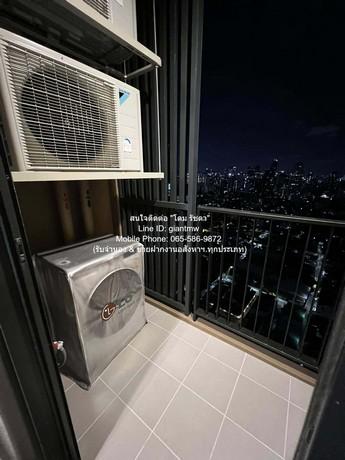 เช่าคอนโด โอกะ เฮ้าส์ สุขุมวิท 36 คอนโดมิเนียม - Condo Rental Oka Haus Sukhumvit 36 condominium - 3166380