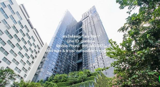 เช่าคอนโด แอชตัน จุฬา - สีลม คอนโดมิเนียม - Condo Rental Ashton Chula - Silom condominium - 3166773