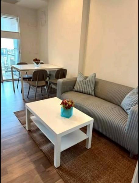 เช่าคอนโด เดอะรูม สุขุมวิท62 คอนโดมิเนียม - Condo Rental The Room Sukhumvit62 condominium - 3167296