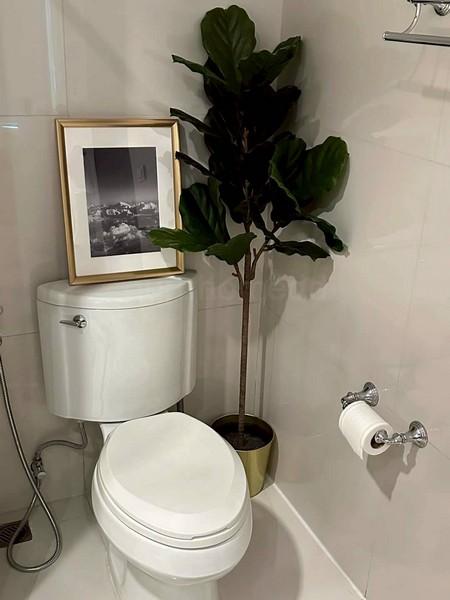 เช่าคอนโด ดิ แอดเดรส ชิดลม คอนโดมิเนียม - Condo Rental The Address Chidlom condominium - 3167316
