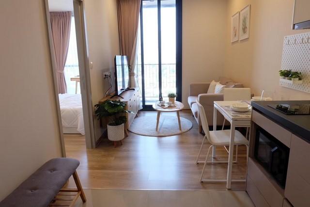 เช่าคอนโด โอกะ เฮ้าส์ สุขุมวิท 36 คอนโดมิเนียม - Condo Rental Oka Haus Sukhumvit 36 condominium - 3169901