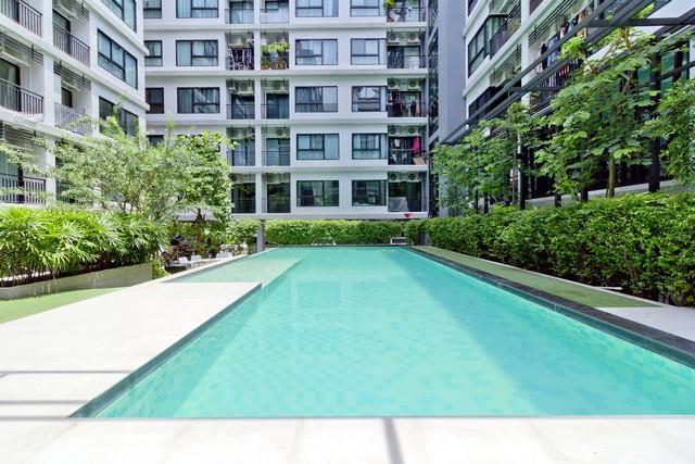 ขายคอนโด วิลล่า ลาซาล สุขุมวิท105 คอนโดมิเนียม - Sell Condo Villa Lasalle Sukhumvit105 condominium - 3172213