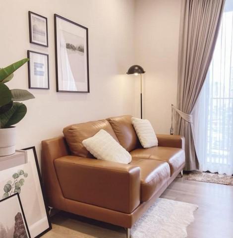 เช่าคอนโด โอกะ เฮ้าส์ สุขุมวิท 36 คอนโดมิเนียม - Condo Rental Oka Haus Sukhumvit 36 condominium - 3172670