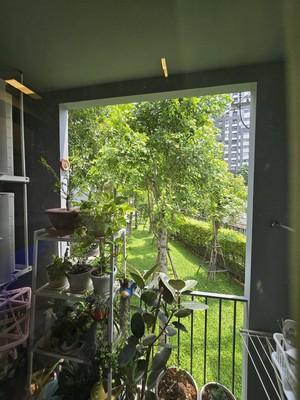ขายคอนโด เดอะ เนสท์ สุขุมวิท 71 คอนโดมิเนียม - Sell Condo The Nest Sukhumvit 71 condominium - 3172971